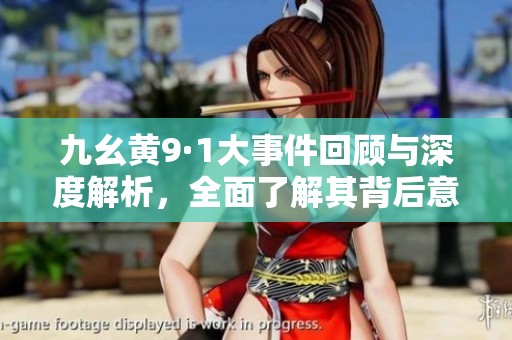 九幺黄9·1大事件回顾与深度解析，全面了解其背后意义