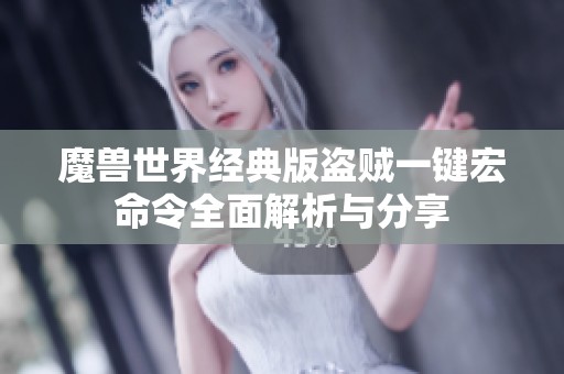 魔兽世界经典版盗贼一键宏命令全面解析与分享