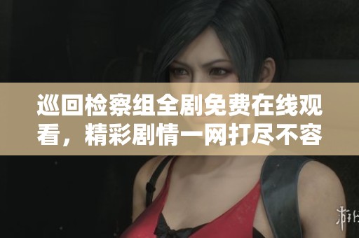 巡回检察组全剧免费在线观看，精彩剧情一网打尽不容错过