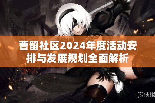 曹留社区2024年度活动安排与发展规划全面解析
