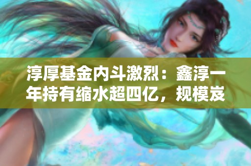 淳厚基金内斗激烈：鑫淳一年持有缩水超四亿，规模岌岌可危