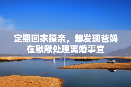定期回家探亲，却发现爸妈在默默处理离婚事宜