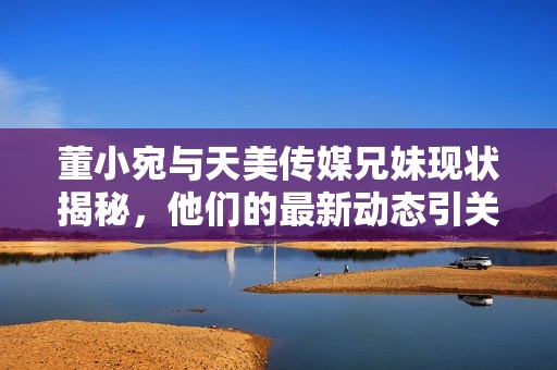 董小宛与天美传媒兄妹现状揭秘，他们的最新动态引关注