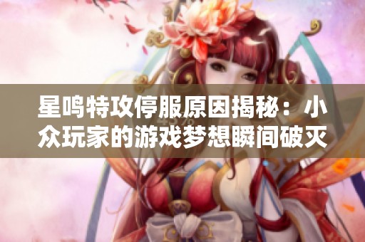星鸣特攻停服原因揭秘：小众玩家的游戏梦想瞬间破灭
