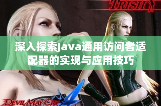 深入探索Java通用访问者适配器的实现与应用技巧
