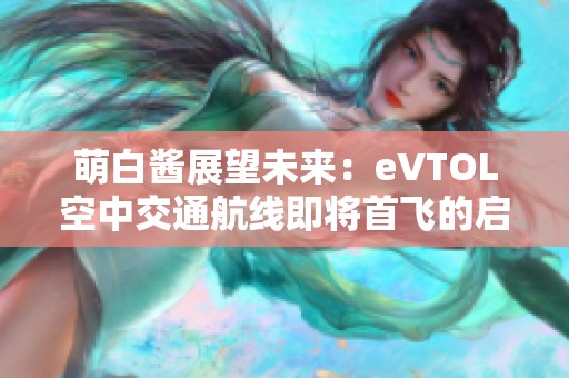 萌白酱展望未来：eVTOL空中交通航线即将首飞的启示