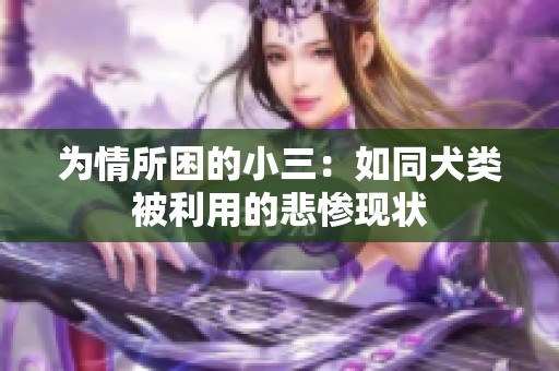 为情所困的小三：如同犬类被利用的悲惨现状