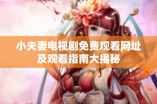 小夫妻电视剧免费观看网址及观看指南大揭秘