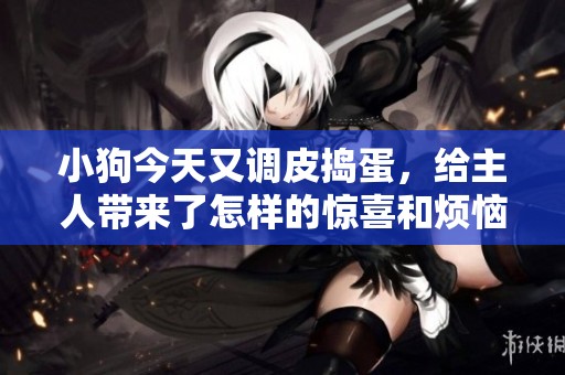 小狗今天又调皮捣蛋，给主人带来了怎样的惊喜和烦恼呢