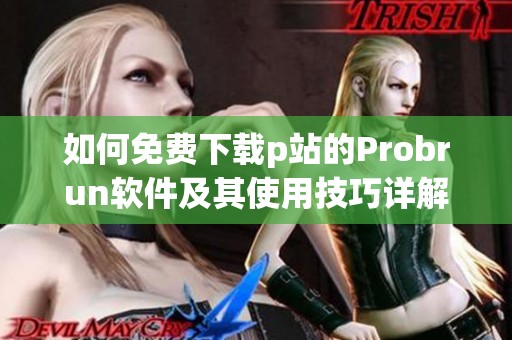 如何免费下载p站的Probrun软件及其使用技巧详解