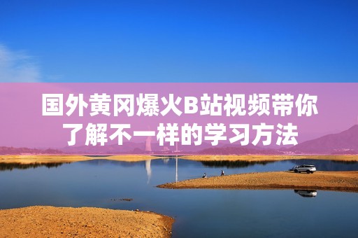 国外黄冈爆火B站视频带你了解不一样的学习方法