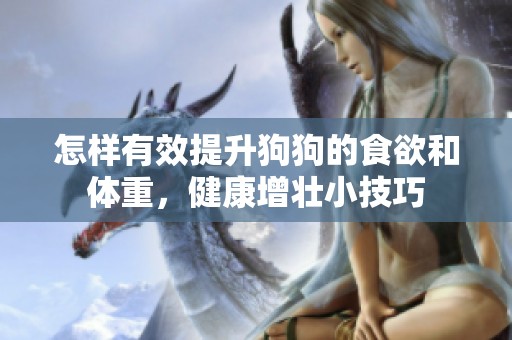 怎样有效提升狗狗的食欲和体重，健康增壮小技巧