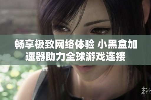 畅享极致网络体验 小黑盒加速器助力全球游戏连接