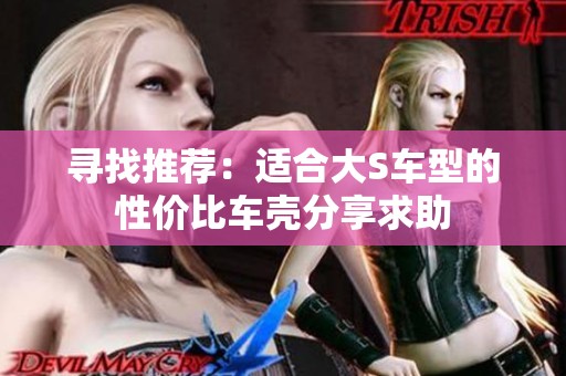 寻找推荐：适合大S车型的性价比车壳分享求助
