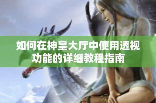 如何在神皇大厅中使用透视功能的详细教程指南