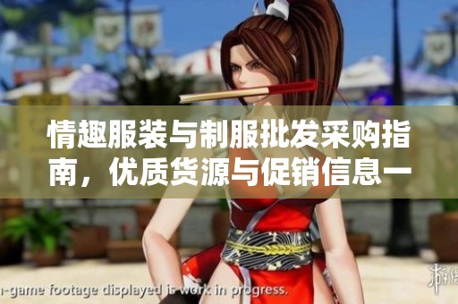 情趣服装与制服批发采购指南，优质货源与促销信息一站式获取