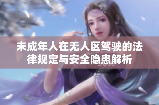 未成年人在无人区驾驶的法律规定与安全隐患解析