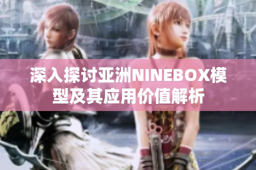 深入探讨亚洲NINEBOX模型及其应用价值解析