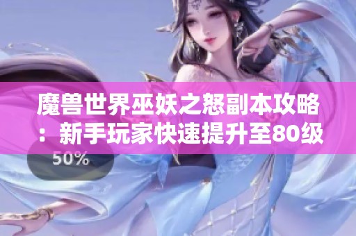 魔兽世界巫妖之怒副本攻略：新手玩家快速提升至80级的方法