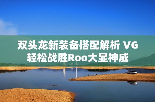 双头龙新装备搭配解析 VG轻松战胜Roo大显神威