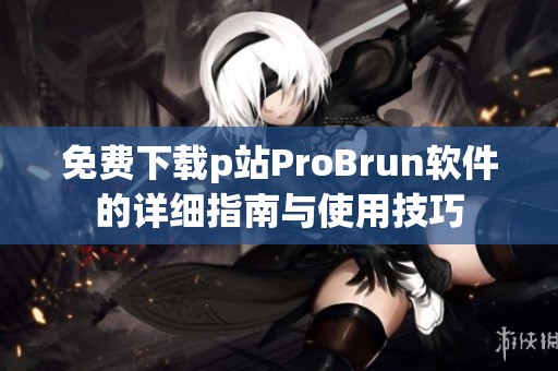 免费下载p站ProBrun软件的详细指南与使用技巧