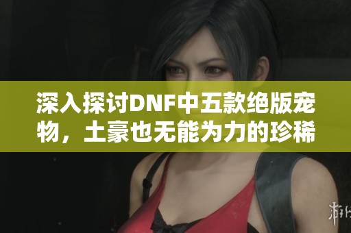 深入探讨DNF中五款绝版宠物，土豪也无能为力的珍稀之物