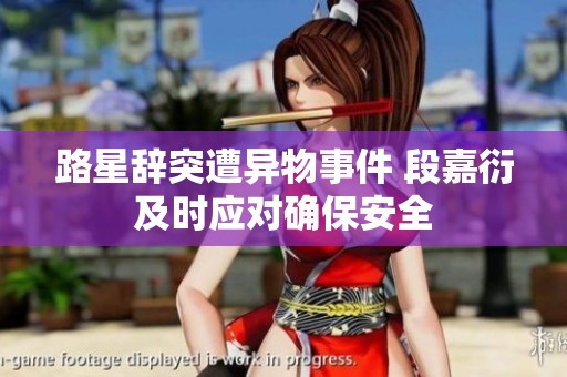 路星辞突遭异物事件 段嘉衍及时应对确保安全