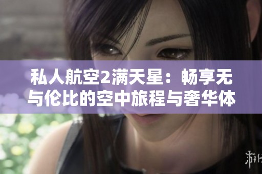 私人航空2满天星：畅享无与伦比的空中旅程与奢华体验