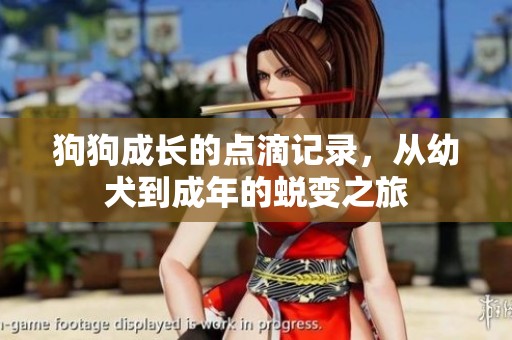 狗狗成长的点滴记录，从幼犬到成年的蜕变之旅