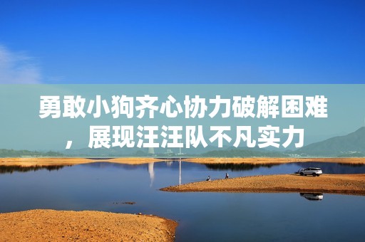 勇敢小狗齐心协力破解困难，展现汪汪队不凡实力