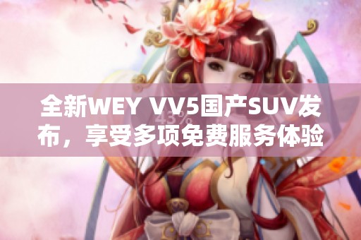 全新WEY VV5国产SUV发布，享受多项免费服务体验