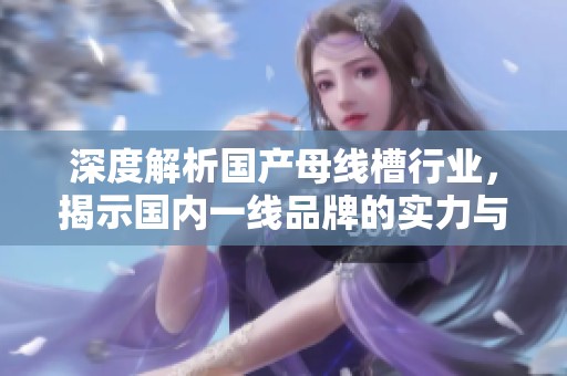 深度解析国产母线槽行业，揭示国内一线品牌的实力与优势