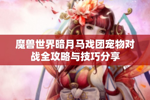 魔兽世界暗月马戏团宠物对战全攻略与技巧分享