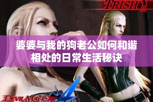 婆婆与我的狗老公如何和谐相处的日常生活秘诀