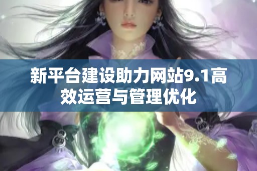 新平台建设助力网站9.1高效运营与管理优化