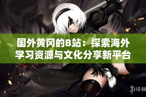 国外黄冈的B站：探索海外学习资源与文化分享新平台