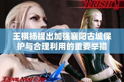 王祺扬提出加强襄阳古城保护与合理利用的重要举措