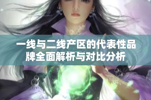 一线与二线产区的代表性品牌全面解析与对比分析