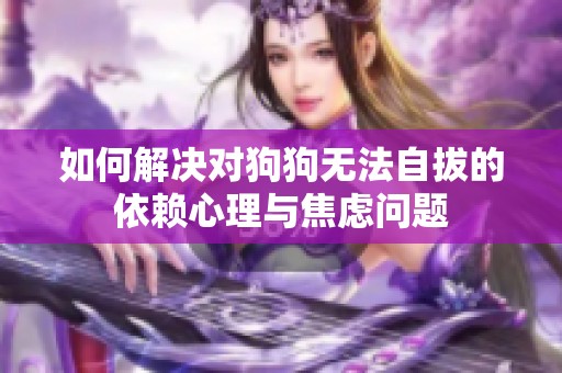 如何解决对狗狗无法自拔的依赖心理与焦虑问题