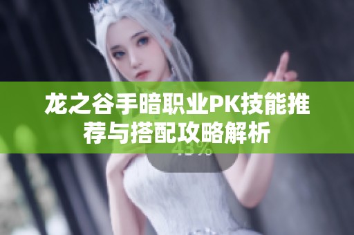 龙之谷手暗职业PK技能推荐与搭配攻略解析