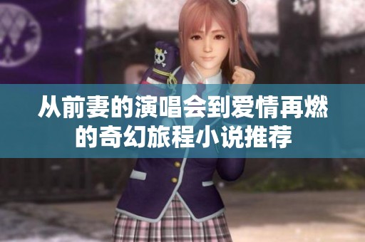 从前妻的演唱会到爱情再燃的奇幻旅程小说推荐