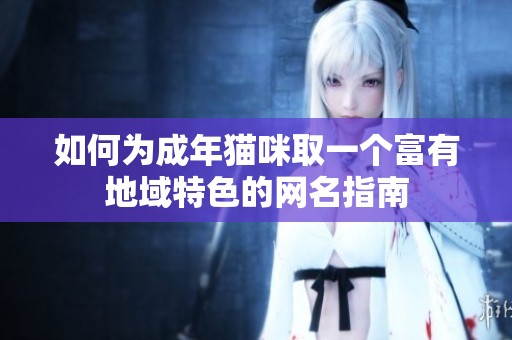 如何为成年猫咪取一个富有地域特色的网名指南