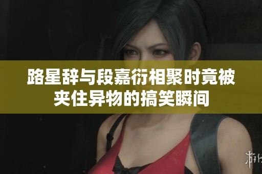 路星辞与段嘉衍相聚时竟被夹住异物的搞笑瞬间