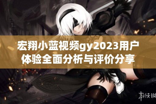 宏翔小蓝视频gy2023用户体验全面分析与评价分享